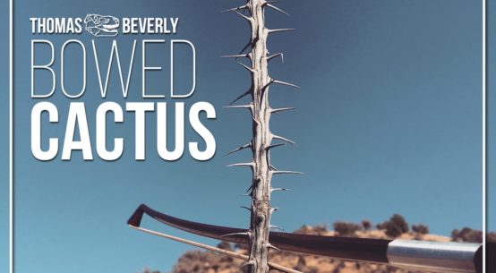 Bowed Cactus Cover